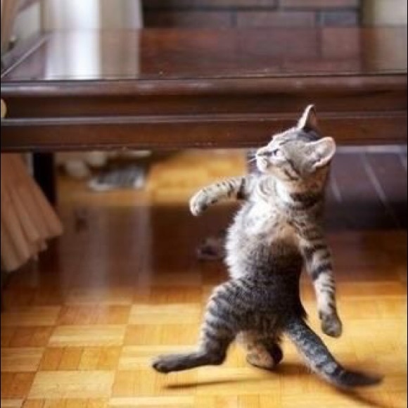 Meet your Posher, Vickie - Picture 1 of 1